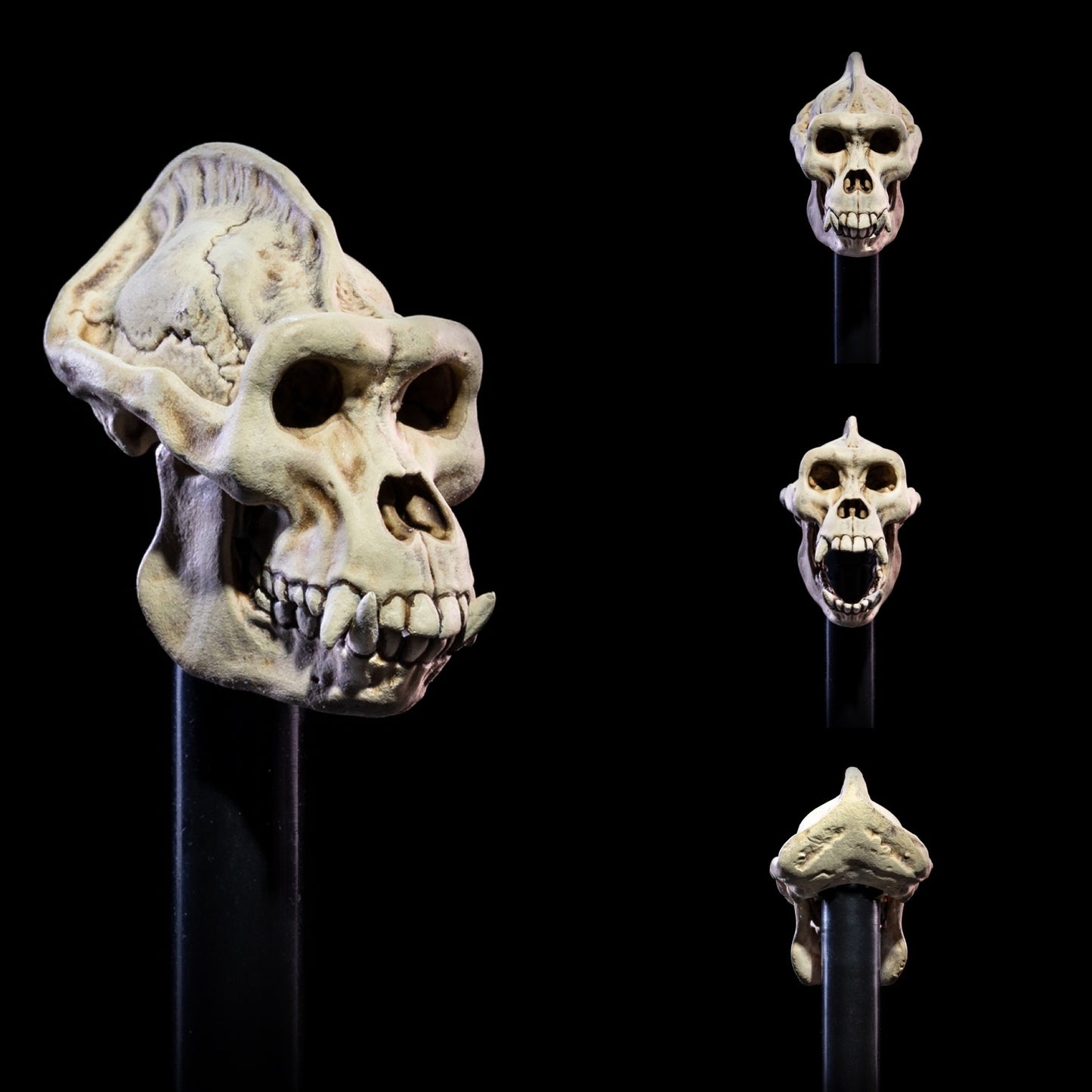 Mythic Legions All Stars 6 Heads Pack