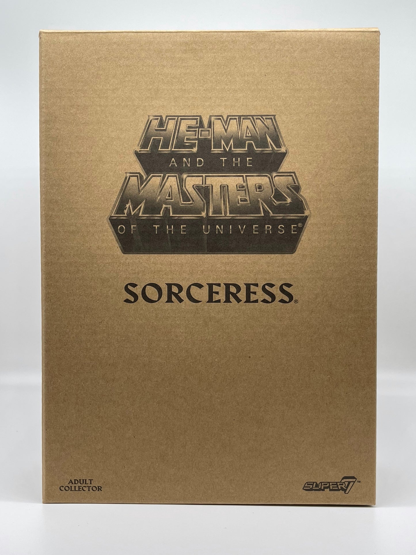 Club Grayskull Sorceress