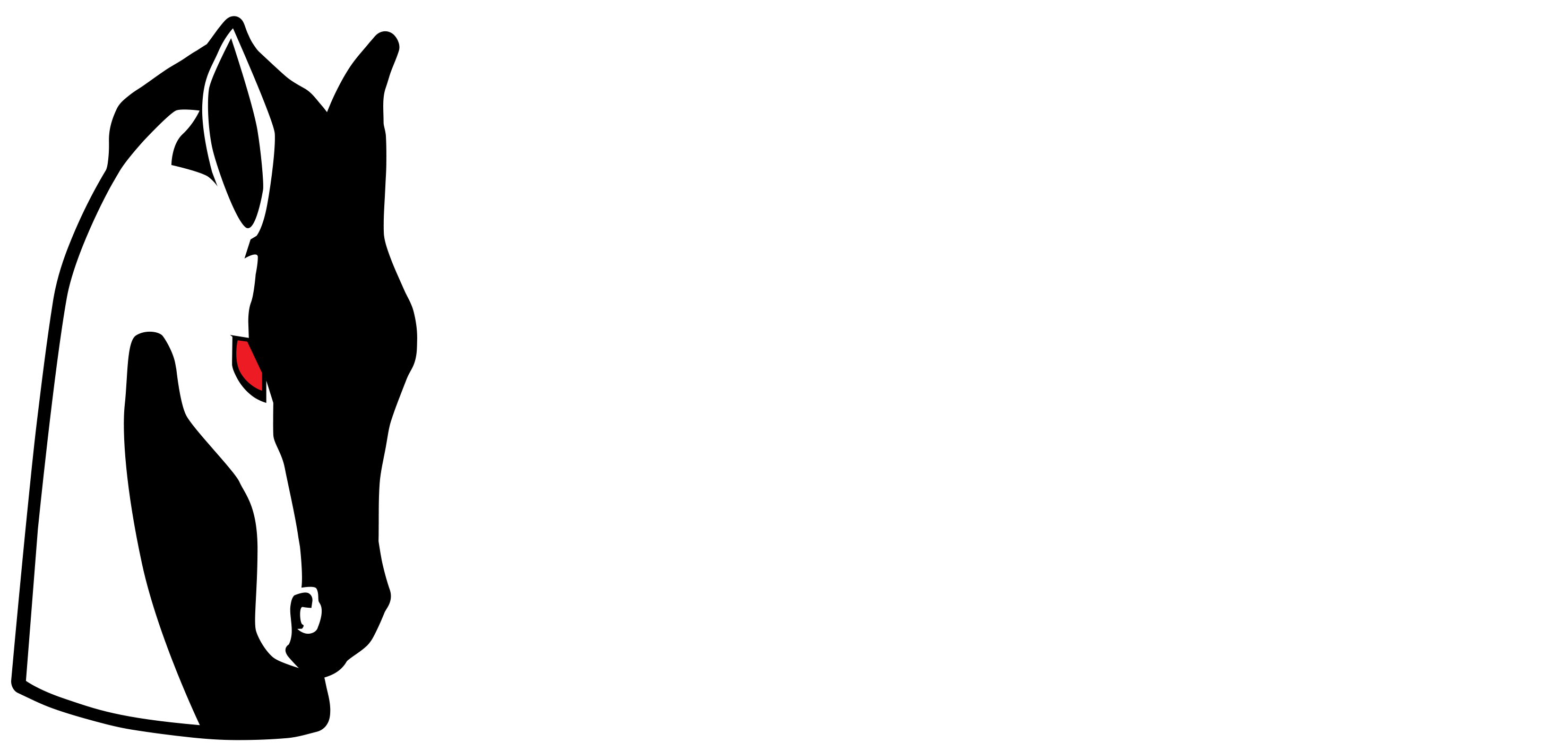 HorseheadToys logo