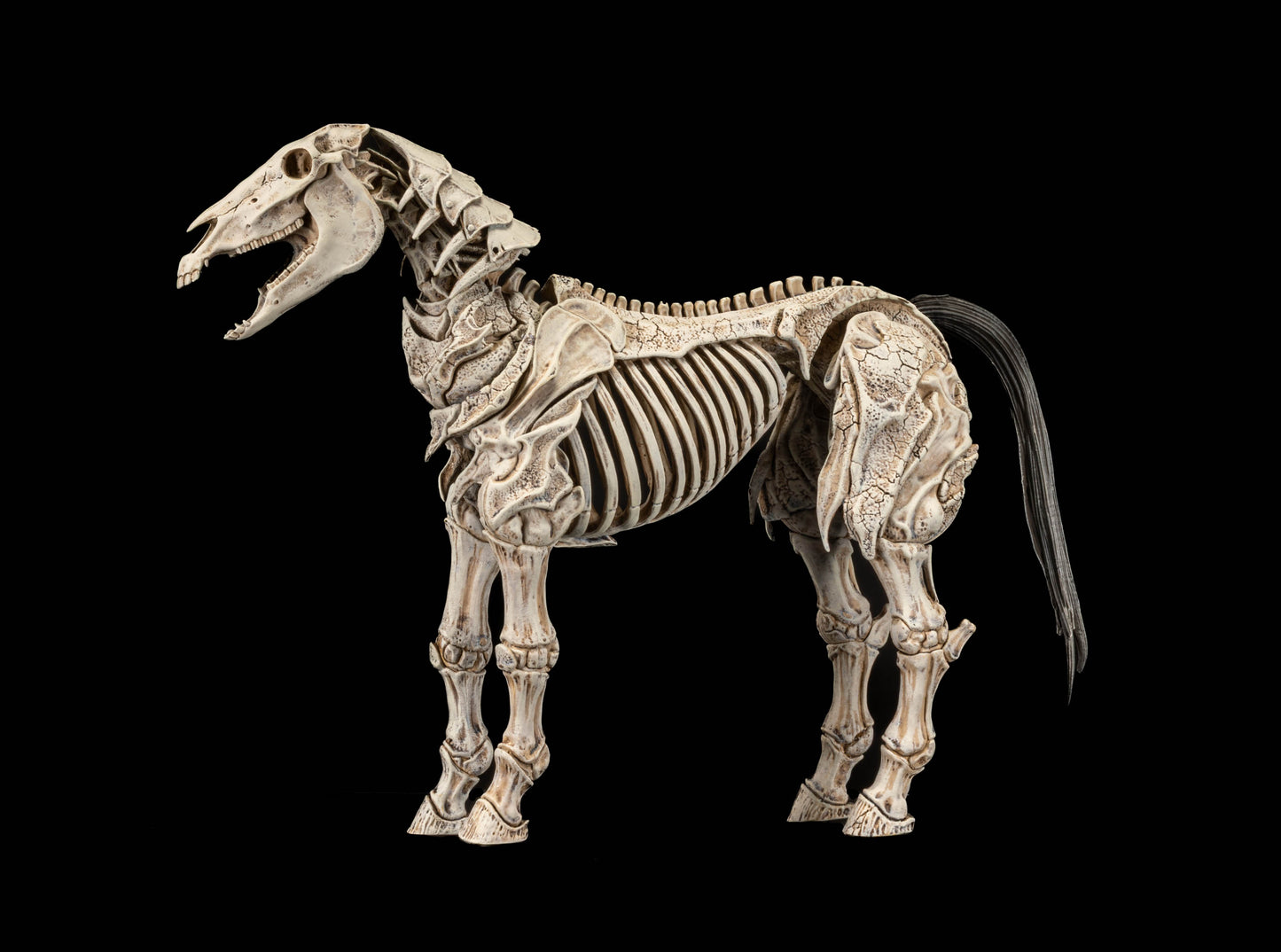 Mythic Legions Skeleton Steed Legion Builder PREORDER