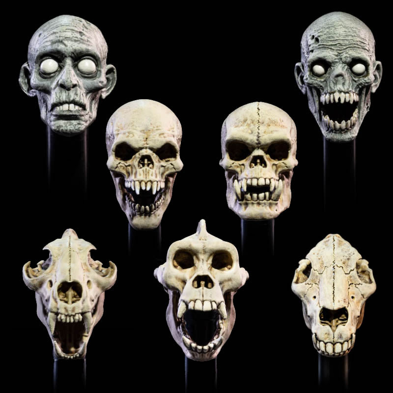 Mythic Legions All Stars 6 Undead Heads Pack - PREORDER